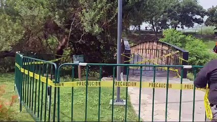 Cae puente peatonal del Parque Rufino Tamayo