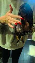 Mum gets introduced to the Sunday dinner dessert in the messiest way imaginable