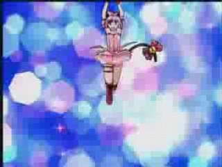 A.M.V. Tokyo Mew Mew