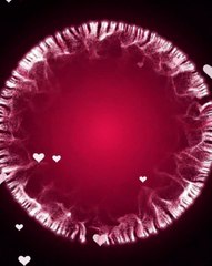 NatureNova Herbals wishes Happy Valentine's Day Sale