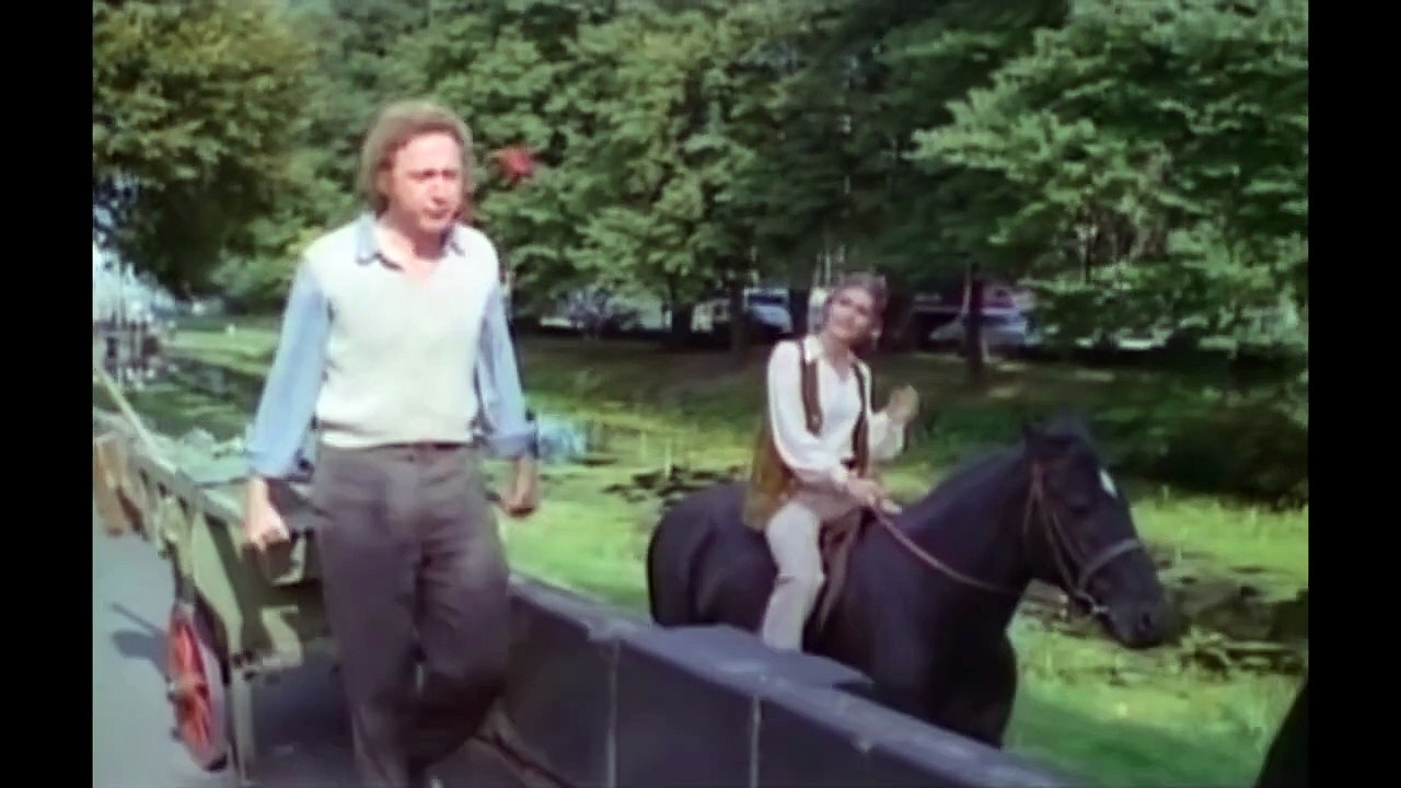 Der Traumtänzer (1970)