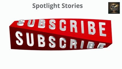 spotlight stories and dailymotion