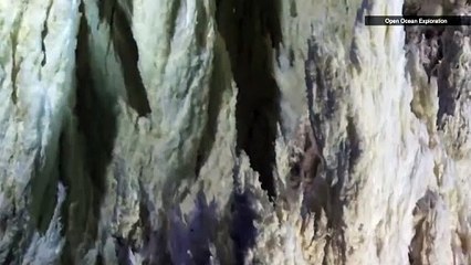 A Lost City at the Bottom of the Ocean Could Help Find Life In Space