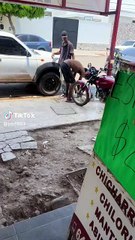 Perros defienden a su dueño ante agresión de indigente (VIDEO)