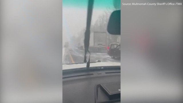 DOZENS of VEHICLES CRASH in MASSIVE pileup on US FREEWAY