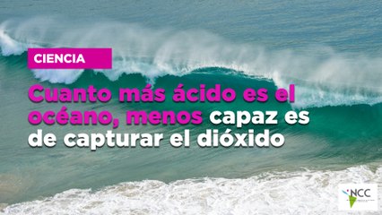 Cuanto más ácido es el océano, menos capaz es de capturar el dióxido