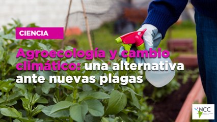 Agroecología y cambio climático: una alternativa ante nuevas plagas