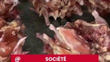 Bouaké -  la direction regionale du commerce saisie plus de 575 poulets avariés dans  la chambre froide d' un grand restaurant