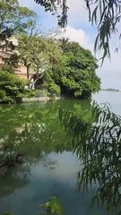 Hombre sin hogar es atacado por enorme cocodrilo en Villahermosa, Tabasco