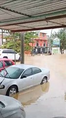 Fuertes lluvias azotan zona turística de Chiapas dejando daños | VIDEO