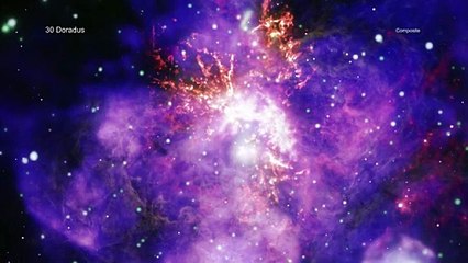 See a 'cosmic bouquet' from the Chandra X-Ray Telescope for Valentine's Day