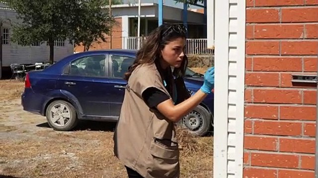 Aplican medidas preventivas contra garrapatas en escuelas de Nuevo León