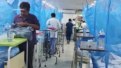 Alertan especialistas: dengue puede llevar a la muerte