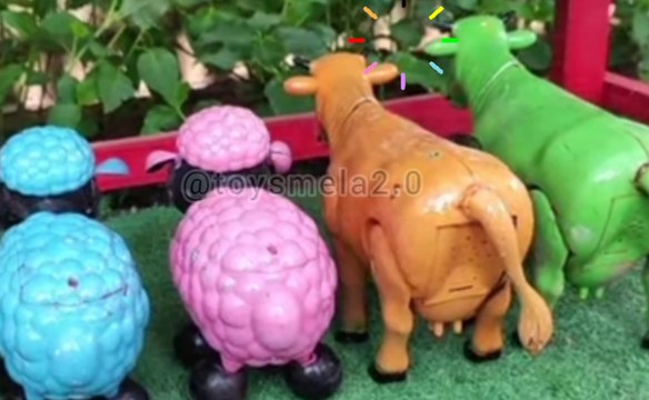 POTONG SAPI‼️PROSES‼️POTONG SAPI‼️KURBAN‼️Sapi videos