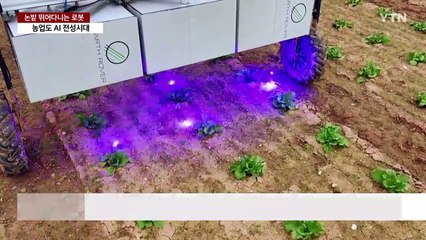 논밭 뛰어다니는 로봇...농업도 AI 전성시대 / YTN