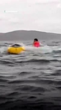 VERTICAL: Kayaker Survives Getting Swallowed by a Whale as Dad Captures Ordeal on Camera: 'I Thought I Was Dead'