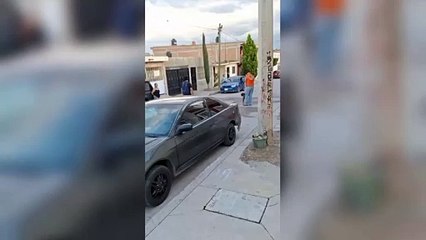 Mujer herida por proteger a sus hijos de dos pitbulls