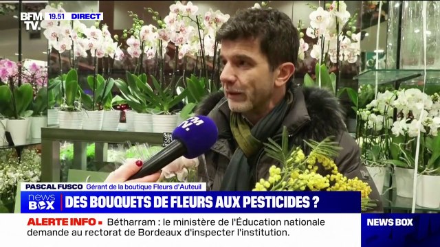 On le sait depuis toujours : ce fleuriste francilien assure sensibiliser ses employés pour éviter d'être trop exposé aux résidus de pesticides présents sur certaines fleurs
