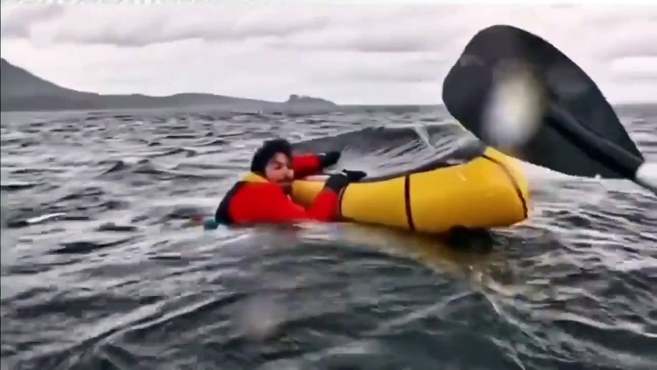 حوت يبتلع رجلاً للحظات ثم يلفظه حياً