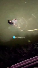 Policía fallece al intentar salvar a mujer en río (VIDEO)