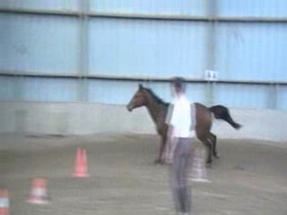 MOV03E
