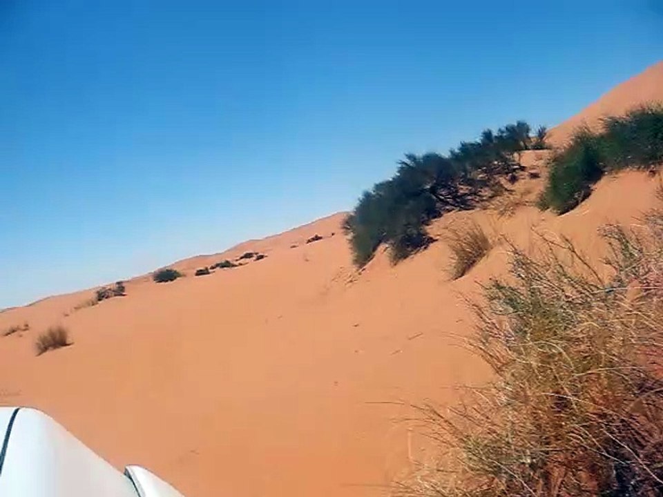 13-oasis Merzouga