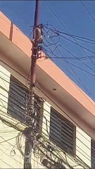 VIDEO: Serpiente provoca apagón masivo en Mérida: ¡Mira cómo sucedió todo!