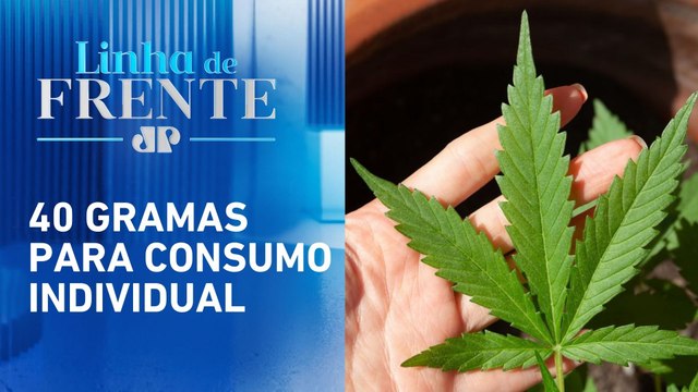 STF tem maioria para rejeitar recursos sobre porte de maconha | LINHA DE FRENTE