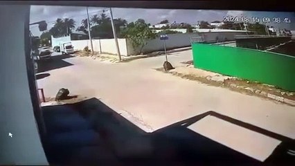 Camioneta atropella a una motociclista en Nueva Yucalpeten, Progreso (Video)