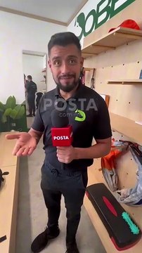 ¿Quieres aprender a adiestrar a tu perro? Aquí te decimos donde