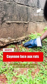 [GUYANE] Les grands titres de l’actualité guyanaise du 14 Février 2025