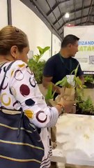 Más de 6 mil árboles fueron adoptados el fin de semana en Mérida