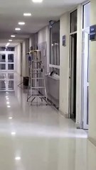 Ratas en el Hospital General de Comondú desata indignación. COEPRIS responde