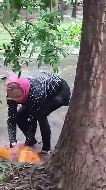 Se desbordan lagos y los peces llegan hasta calles (VIDEO)