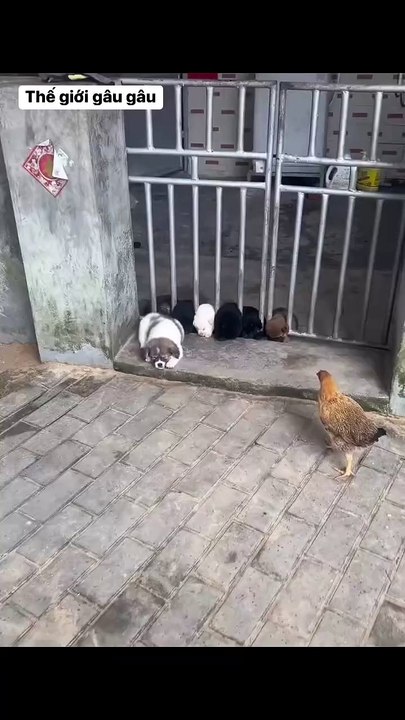 Cute ❤️