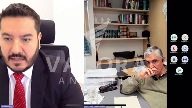 ISA revisor fiscal 2