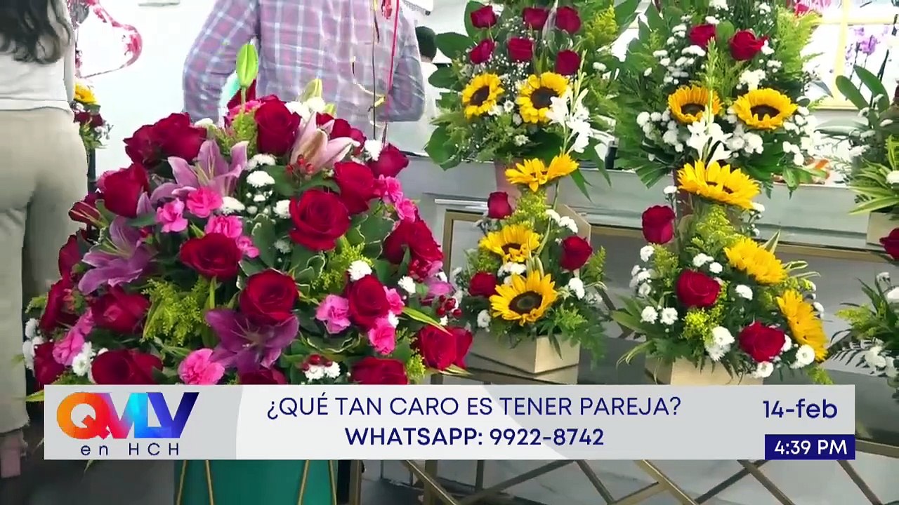 En Vivo (6373)