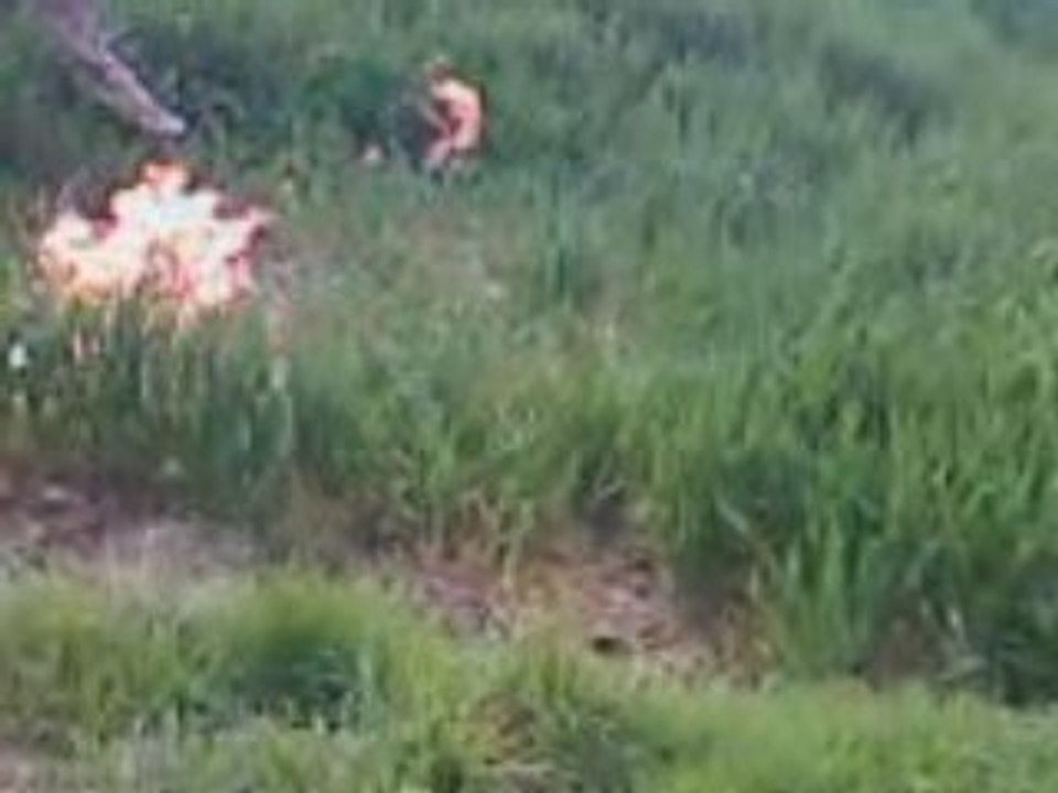 VID018