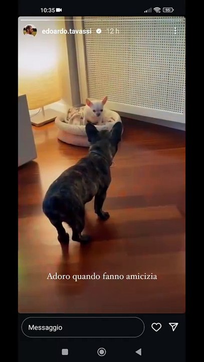 poco amici