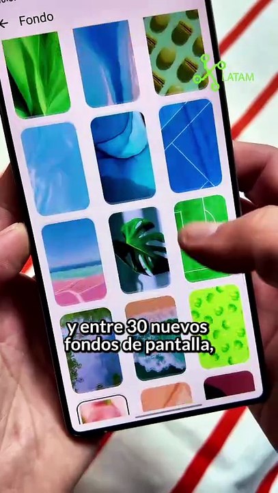 WhatsApp tiene nuevos temas de colores en México