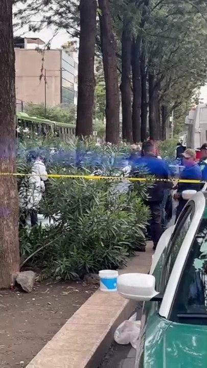 Hallan sin vida a hombre trans en jardinera de la avenida Chapultepec