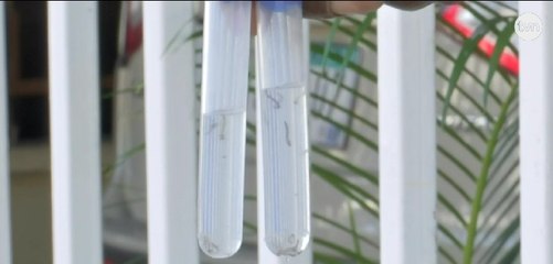 Primera muerte por dengue en 2025: autoridades refuerzan llamado a la prevención