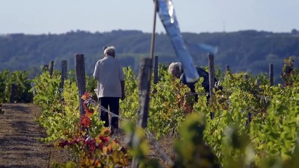 The Sarthois | movie | 2023 | Official Trailer