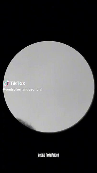 ¡Pedro, Pedro, Pedro! Pedrito Fernández hace el trend del mapache (VIDEO)