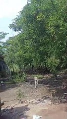 Balacera deja 3 policías muertos en Tabasco