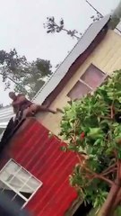 Mujer se aferra al techo de su casa durante huracán Beryl en Jamaica (VIDEO)