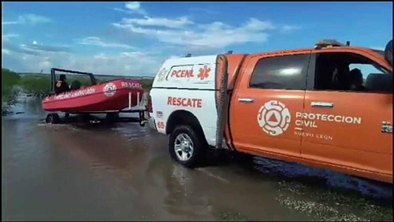 Rescatan más de 40 caballos atrapados en presa Cerro Prieto (VIDEO)