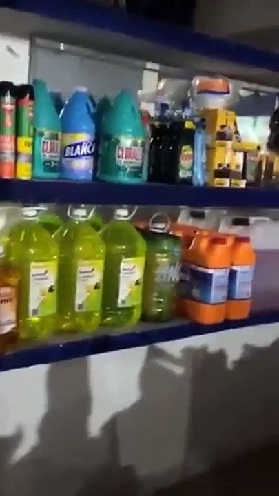 ¡Héroes!, refugian a perritos callejeros en Quintana Roo durante huracán Beryl