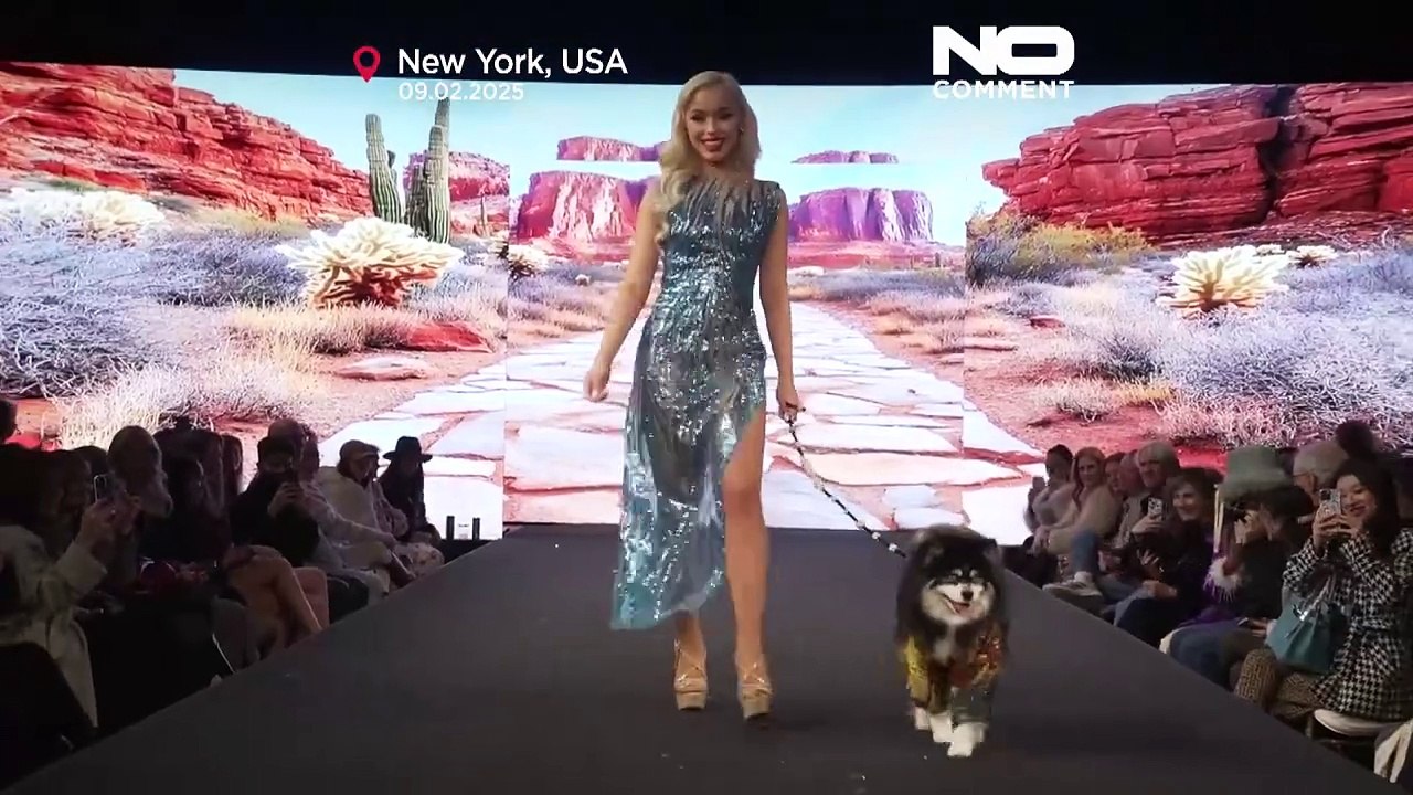 NO COMMENT: La Semana de la Moda de Nueva York incluye un desfile de moda perruna