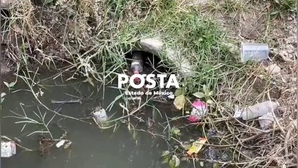 Cuidado con las inundaciones, desazolvan calles de Cuautitlán Izcalli (VIDEO)